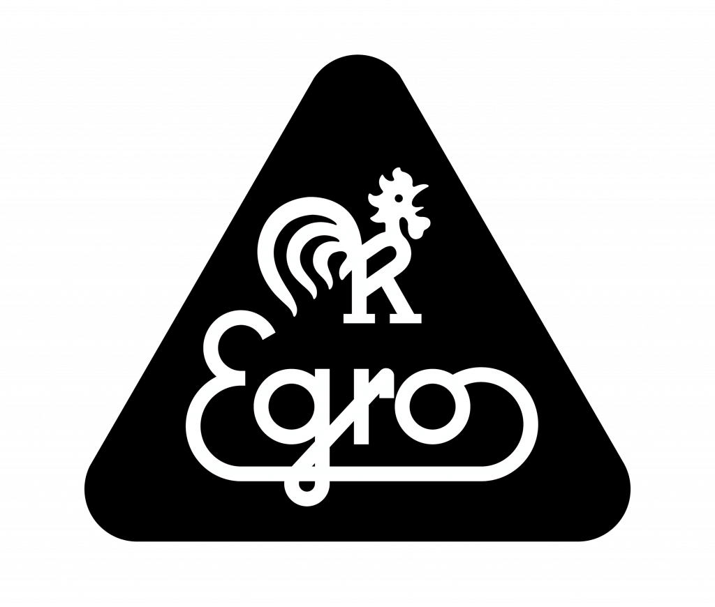Logo Egro - początki